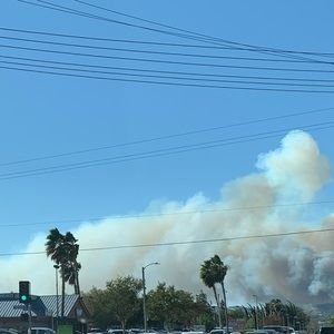 Meet your Posher, Sally